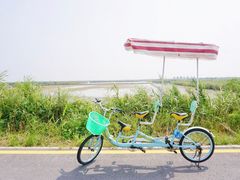 -盐城丹顶鹤湿地生态旅游区