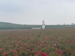 -南京枫彩漫城
