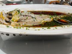 -沪碟·精菜坊(闵行店)