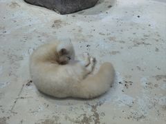 -海合安青岛极地海洋公园