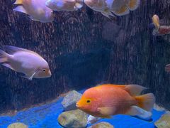 -多彩贵州城极地海洋世界