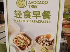 -油梨树AVOCADO TREE(嘉里中心店)