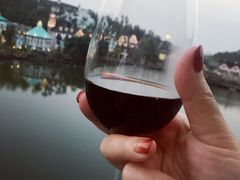 -深圳东部华侨城茵特拉根酒店
