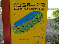 -长白岛森林公园