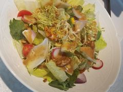 鲜蔬大拌菜-旺顺阁·北京菜(北辰上品+)