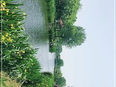 -丁家河公园