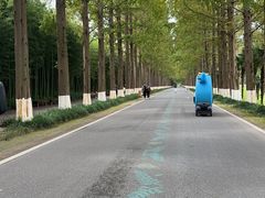 -黄海国家森林公园