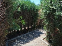 -亲兄弟真人CS团建拓展基地