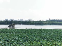 -大兴滨河森林公园