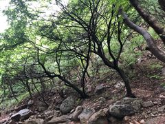 -红崖峡谷景区