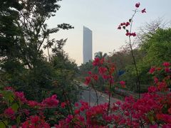 -星巴克(深圳侨城街店)