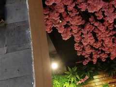 -恋羊时代黑山羊火锅(滨海大道店)