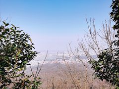 -紫金山山顶公园