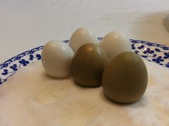 -冶春茶社(珍园店)