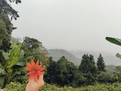 -成都老君山