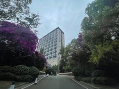 -成都保利公园皇冠假日酒店(熊猫基地店)