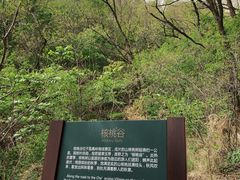 -北京凤凰岭