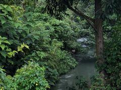 -两河城市森林公园