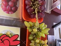 -马陆小张葡萄园农家乐