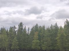 -白鹭湾湿地公园