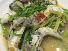 -森记鱼粥