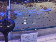 -澜悦港海鲜体验主题餐厅