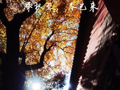 -颐和园