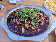 -食神又名厕所兔