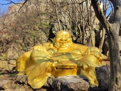 -紫金山山顶公园
