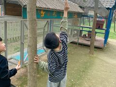 -遇见世外桃源教育农场