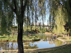 -木塔寺遗址生态公园