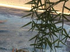 -斯博特游泳俱乐部(永安里店)