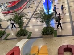 -厦门高崎国际机场-T3航站楼