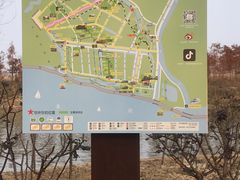 -合肥滨湖国家森林公园