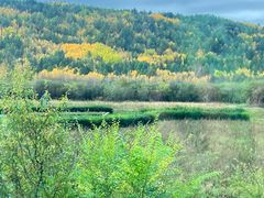 -北极村旅游风景区