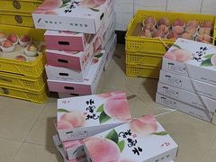 -老袁家蜜桃农场·阳山水蜜桃