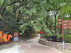 -广州市流溪河国家森林公园