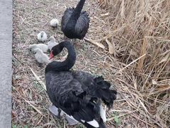 -长兴太湖图影湿地文化园