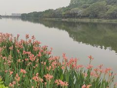 -南国桃园旅游度假区