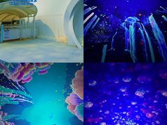 -南戴河国际娱乐中心