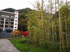 -青峰峡国家森林公园