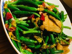 时迁黄瓜芽-兴农记