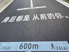 -杨梅坑