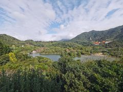 -深圳仙湖植物园