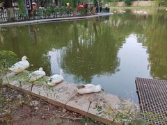 -西安市长乐公园