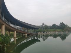 -眉山湿地公园(东坡区)