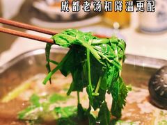 -龙森园火锅(琴台路店)