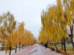 -清真白建强牛肉面(金雁花园店)