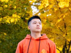 -三里屯东五街银杏大道