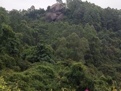 -火炉山森林公园
